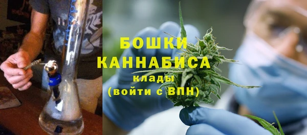 дурь Верея