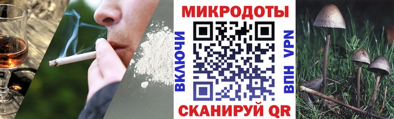 закладки  даркнет формула  Галлюциногенные грибы Cubensis  Щёлково 